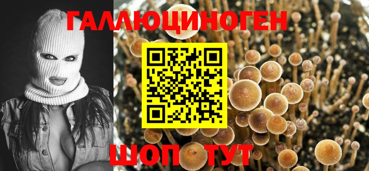 Галлюциногенные грибы мухоморы  Вход с VPN  Барабинск 